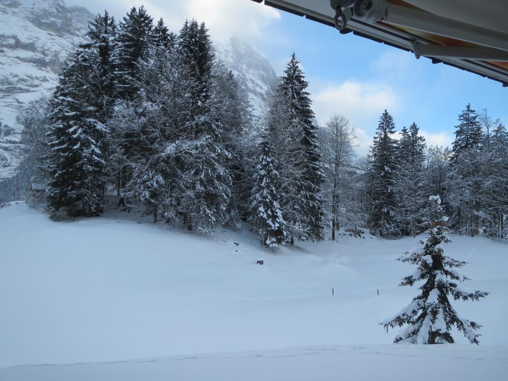 Mom - Alpine Boutique Apartments, Grindelwald Gletscher, Eiger View Terrace Studio Quarto foto