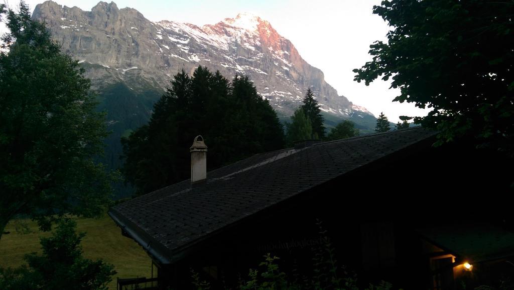 Mom - Alpine Boutique Apartments, Grindelwald Gletscher, Eiger View Terrace Studio Quarto foto