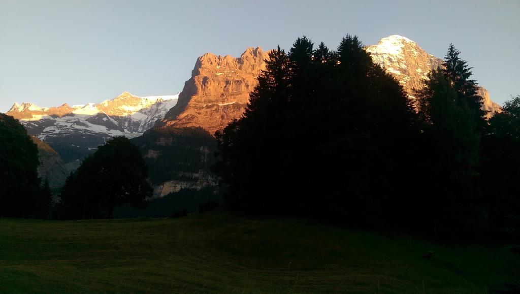 Mom - Alpine Boutique Apartments, Grindelwald Gletscher, Eiger View Terrace Studio Quarto foto